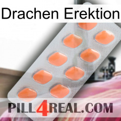 Dragon Erection 26